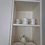 Brezovina * Oravske Vesele