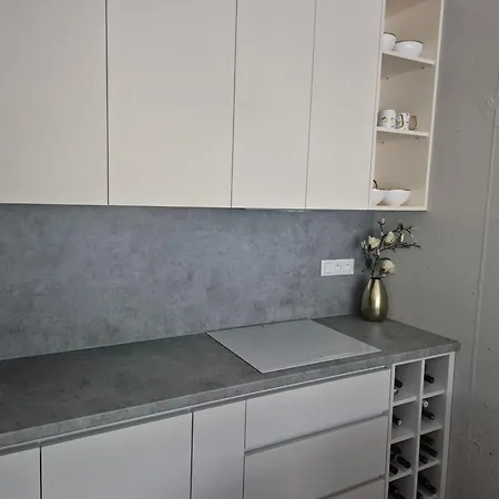Apartment Brezovina *