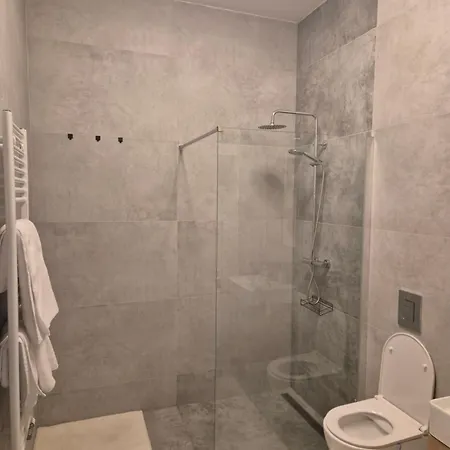 Brezovina * Oravske Vesele