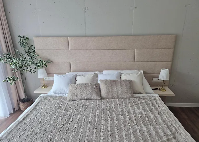 Brezovina * Oravske Vesele