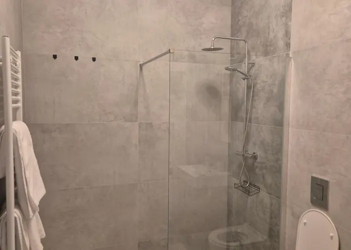 Brezovina * Oravske Vesele